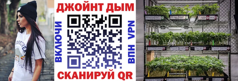 Каннабис VHQ  где найти наркотики  Павловская 